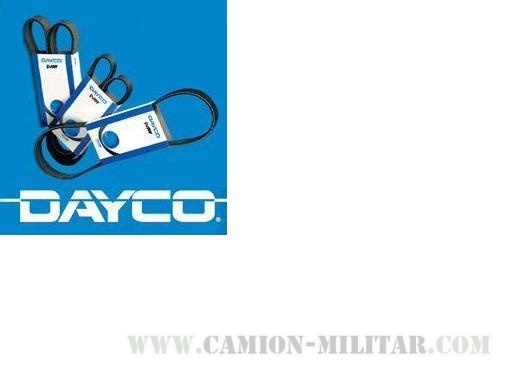 Correa Dayco 5PK880E - 5PK880 Poly-V belt