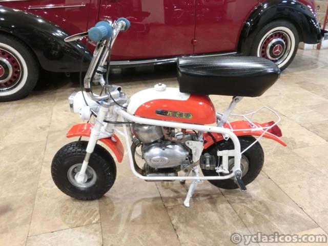ducati mini marcelino for sale